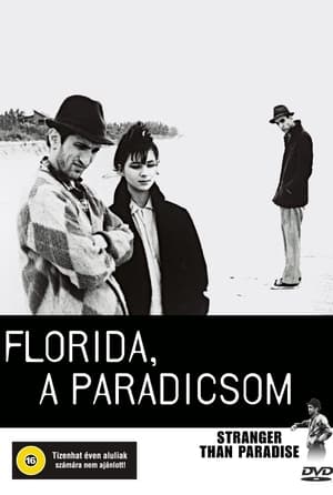 Image Florida, a paradicsom