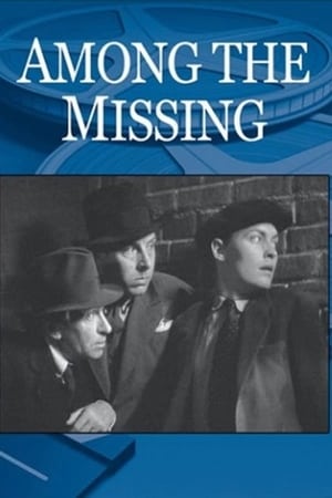 Image Among the Missing