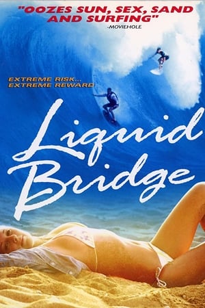 Image Liquid Bridge