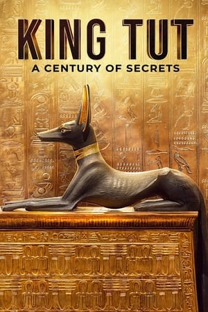 Image King Tut: A Century of Secrets