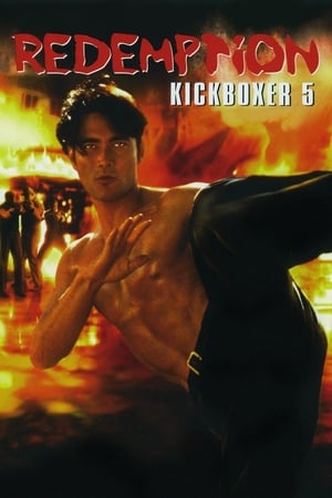 Image The Redemption: Kickboxer 5