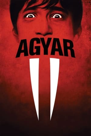 Image Agyar