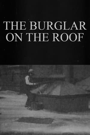 Image The Burglar on the Roof