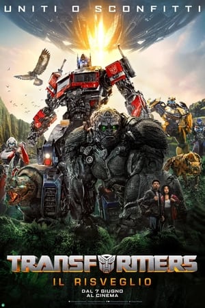 Image Transformers - Il risveglio