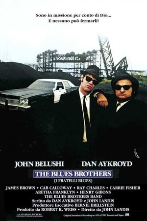 Image The Blues Brothers - I fratelli Blues