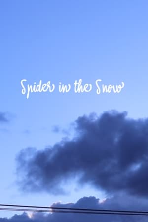 Image Spider in the Snow