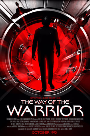 Image Star Trek: Deep Space Nine - The Way of the Warrior