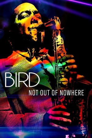 Image Bird: Not Out Of Nowhere
