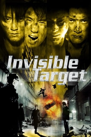 Image Invisible Target