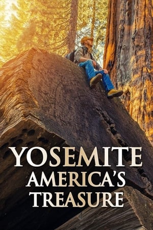 Image Yosemite Americas Treasure