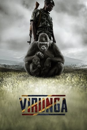 Image Virunga