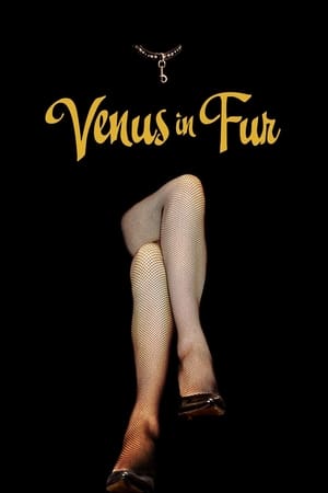Image Venus in Fur