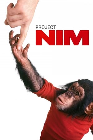 Image Project Nim