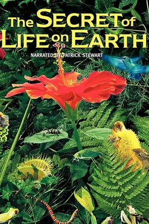 Image The Secret of Life on Earth