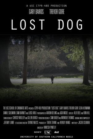 Image Lost Dog