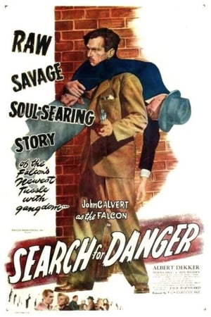 Image Search for Danger