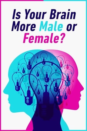 Image Is Your Brain Male or Female?