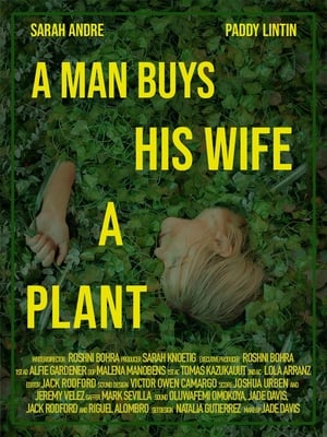 Image A Man Buys His Wife A Plant