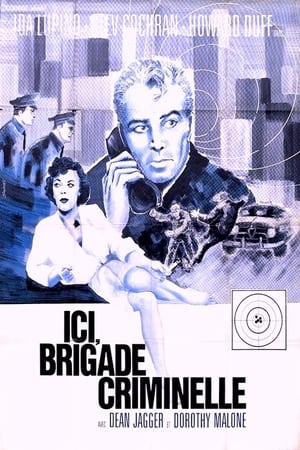 Image Ici brigade criminelle
