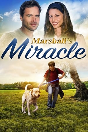 Image Marshall's Miracle