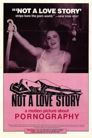 Image Not a Love Story: A Film About Pornography