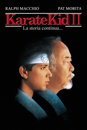 Image Karate Kid II - La storia continua...