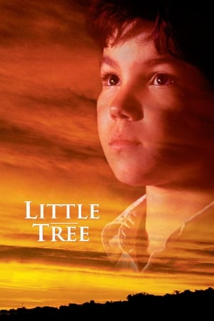 Image The Education of Little Tree