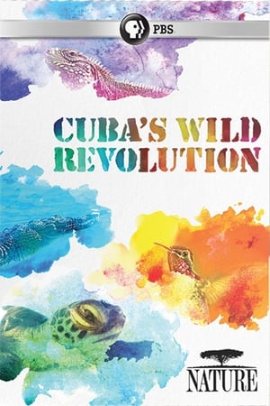 Image Kuba - där djuren finns kvar