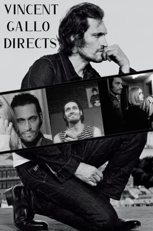 Image Vincent Gallo Directs