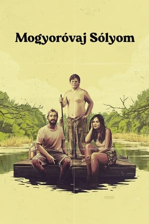 Image Mogyoróvaj Sólyom