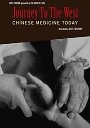 Image Journey to the West: Chinese Medicine Today