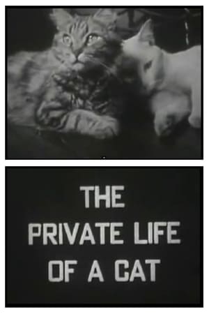 Image The Private Life of a Cat