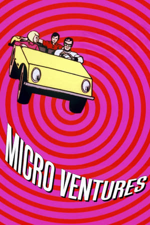 Image Micro Ventures