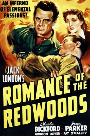 Image Romance of the Redwoods