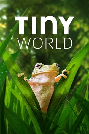 Image Tiny World