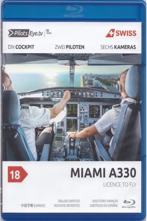 Image PilotsEYE.tv Miami A330