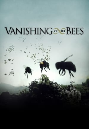 Image Vanishing of the Bees