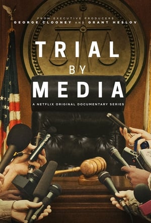 Image Gerichtsverfahren in den Medien