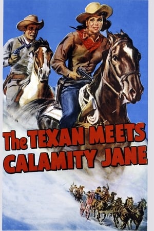 Image The Texan Meets Calamity Jane