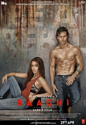 Image Baaghi: A Rebel for Love