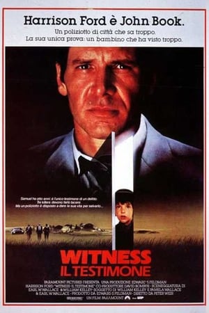 Image Witness - Il testimone