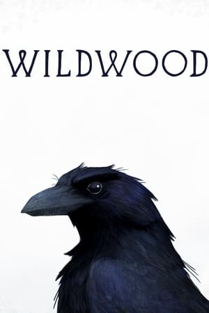 Image Wildwood