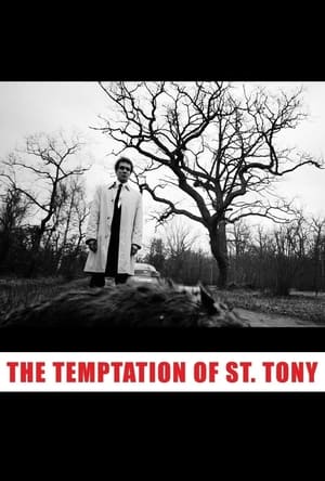Image The Temptation of St. Tony