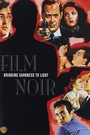 Image Film Noir: Bringing Darkness to Light