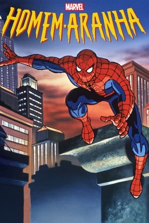 Image Spider-Man - O Homem-Aranha