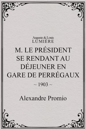 Image M. le président se rend au déjeuner en gare de Perrégaux