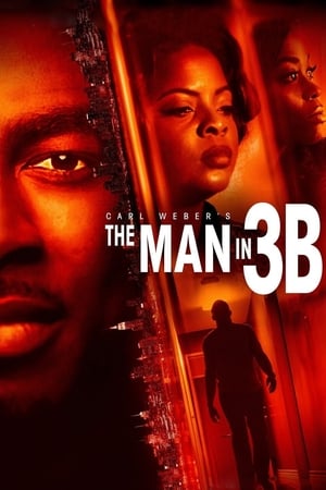 Image The Man in 3B