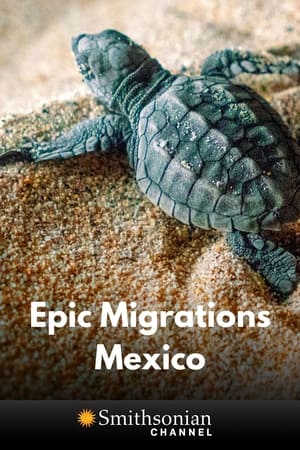 Image Epic Animal Migrations: Mexico