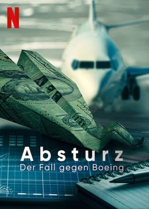 Image Absturz: Der Fall gegen Boeing