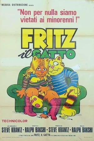 Image Fritz il gatto